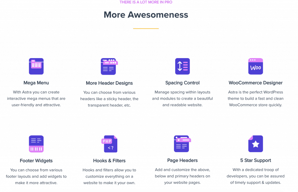 astra theme extra features
