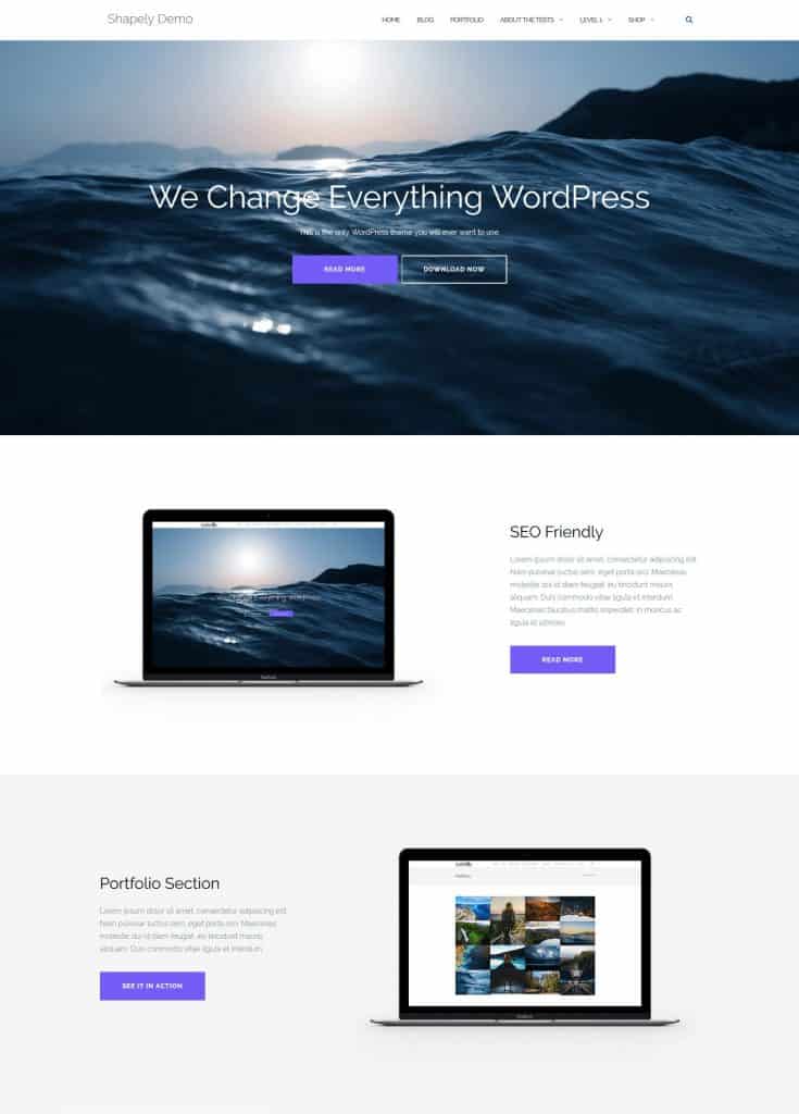 Shapely Theme Review Is it the Best Free Multipurpose Theme for