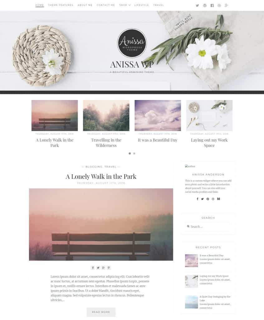 Anissa WordPress Theme Review