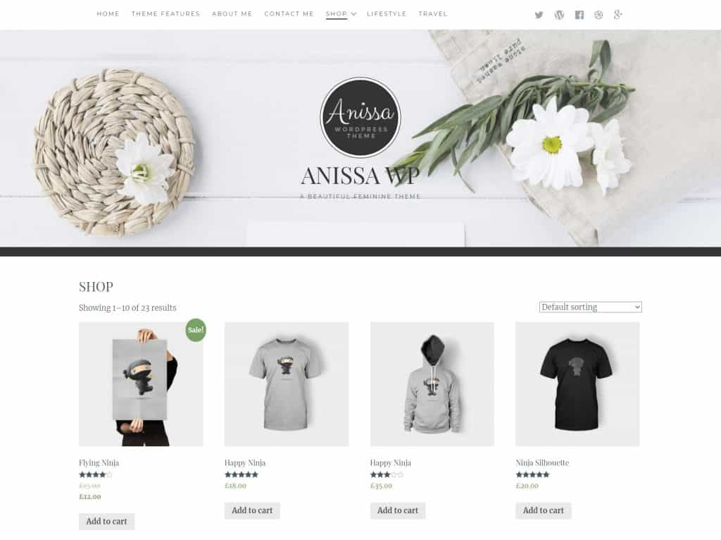 Anissa WordPress Theme Review